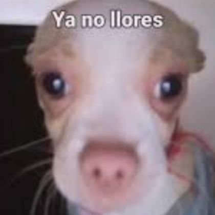 Alex_1406_'s profile picture. 