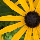 Eva Hunt-Cummings - @CummingsEv91337 - Twitter