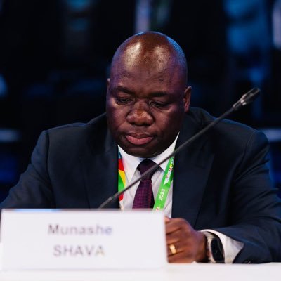 ShavaMunashe's profile picture. 