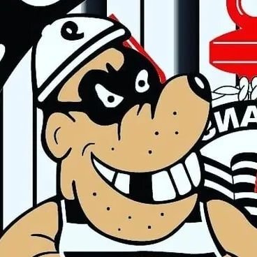 Sou Corintiano, eu não respeito ninguém, Palmeirense é Porco, São Paulino é Bambi e Santista é ninguém. Flamengo não tem estádio e nois anda de camburão.