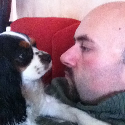 ANGEL0779's profile picture. 