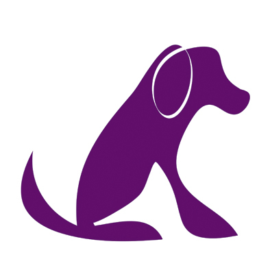 Cardiff Dogs' Home has a great choice of wonderful dogs - from beautiful pedigree dogs to the nicest, friendliest mutts!