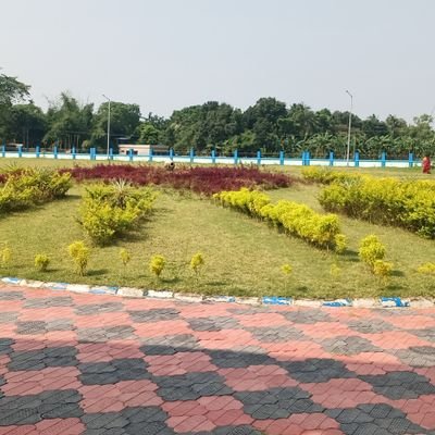 MafutSheikh's profile picture. 