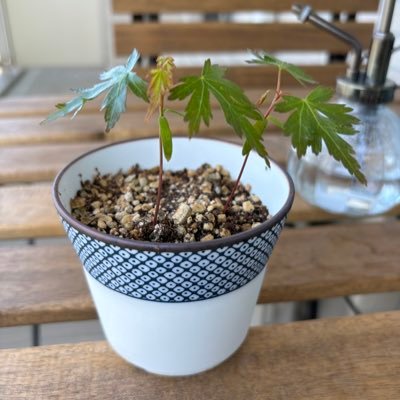 takuma5150's profile picture. dtmとギター