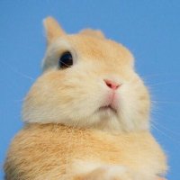 밍찌 (@mini__ll) 's Twitter Profile