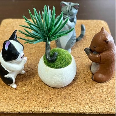 E_soliter's profile picture. Number_i