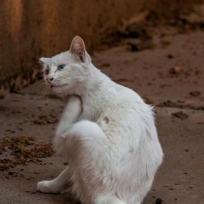 nan133262's profile picture. 