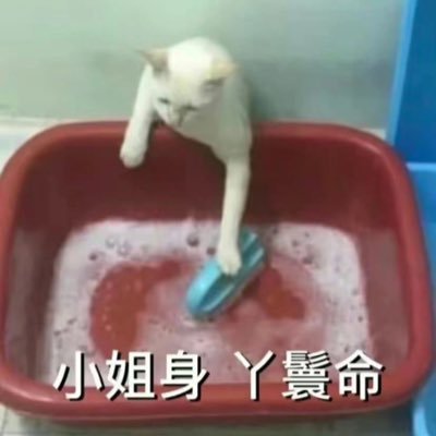 JTxxxuu's profile picture. I'm a transparent person.