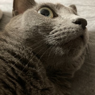 清川真舟さんのプロフィール画像