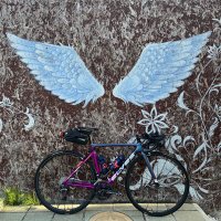 Suzu Kino(@kino_roadbike) 's Twitter Profile Photo