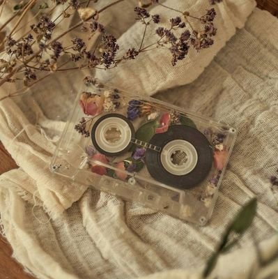 skypierss's profile picture. 