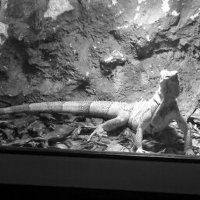 möchtemehr (@ronny_moll19892) Twitter profile photo