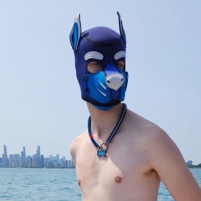 23 y/o Pierced Dog | Chicago and Columbus | Experienced Fisting Bottom, Toys, Pup Play, Bondage and Exhibitionist | Bluesky: https://t.co/k3dtSIZ96g