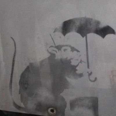 9O53b247kF48305's profile picture. 