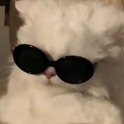 LongHoeng's profile picture. token helpdesk