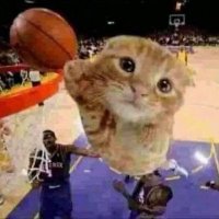 la makina (@peddromendez) 's Twitter Profile