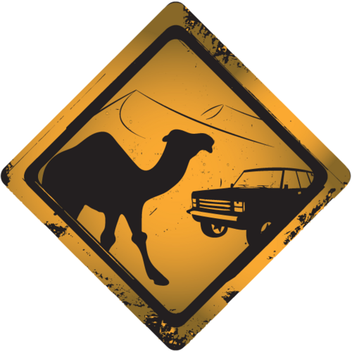 OpNaarDakar's profile picture. 8 studenten/ professionals | 4 4WD's | 7000 km | 1 doel | A'dam - Dakar Challenge 3 nov 2012 | @TUEindhoven | Automotive | @FAEGambia