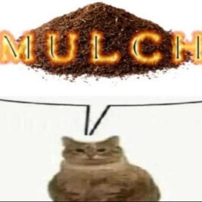 mulchさんのプロフィール画像