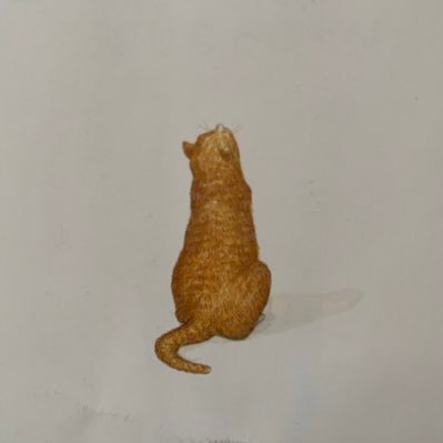 payaさんのプロフィール画像