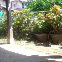 ຮັກແຟນມາກໆ🇱🇦 (@deddedded344172) 's Twitter Profile