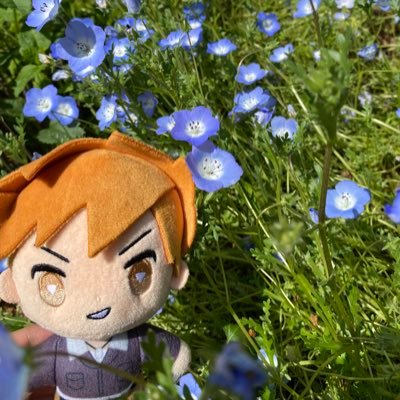 るるるさんのプロフィール画像