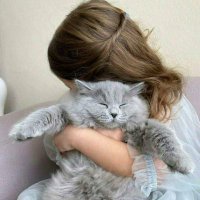 بسمة عشق (@vt2up00j70gewfo) Twitter profile photo