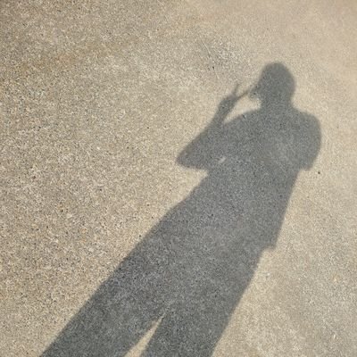 乘鴉さんのプロフィール画像