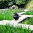 D_kuzupon