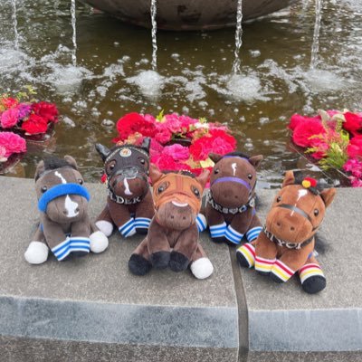 ドゥラっ子だいすき！！  #スターホース4