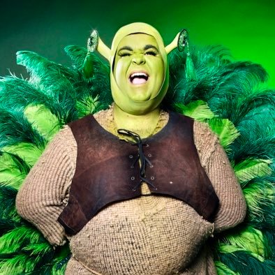 Not endorsed by Dreamworks 👇🏻ON SALE NOW 👇🏻