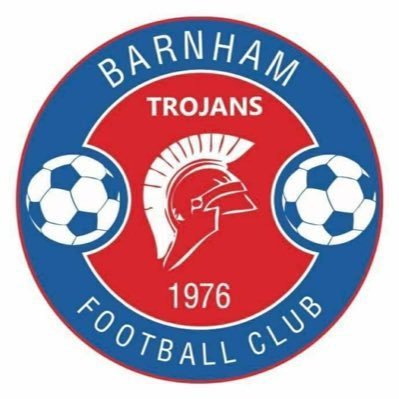 BarnhamLadies's profile picture. Barnhams brand new open age women’s football team. Come and join in the fun on Tuesdays 7-8pm at Olivers Meadow, Aldingbourne. 😁⚽️