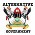 Alternative Government (@90thAlternative) Twitter profile photo