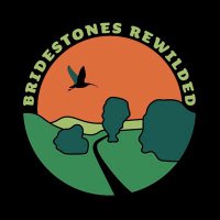 Bridestones Rewilded (@brewilded) 's Twitter Profile Photo Bridestones Rewilded (@brewilded) 's Twitter Profile Photo