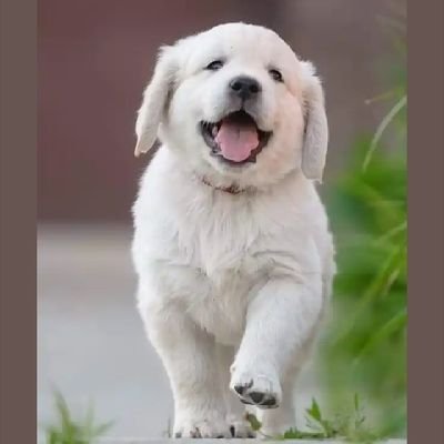 HititManmo45563's profile picture. All about crypto airdrops