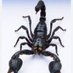 Scorpion (@ntr_thana) Twitter profile photo Scorpion (@ntr_thana) Twitter profile photo