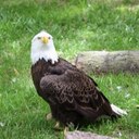 mike kelliher - @magicitymike - Twitter