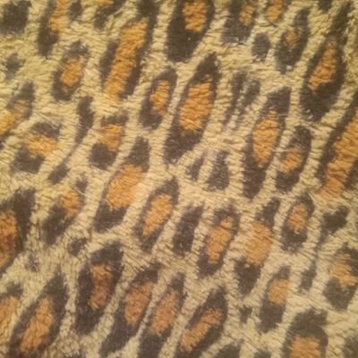 kialaaa12's profile picture. I  LOVE ALL animals, classic star biographies and history books, classic rock and pop, QUEEN, BEATLES, Zeppelin, Chopin and classic movies!! TCM FOREVER!!