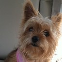 Rita Mobley - @RitaMobley - Twitter