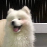 midn1ghttt (@midn1ght_n) 's Twitter Profile