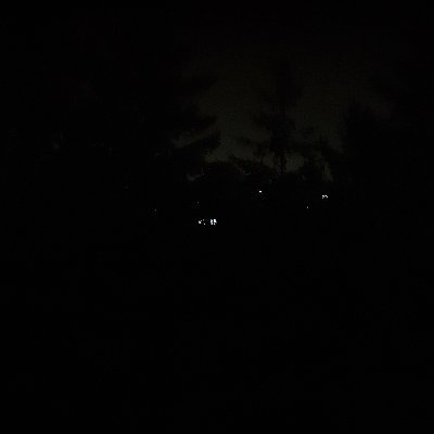 ChesnyGaming's profile picture. 18 | nobody but me