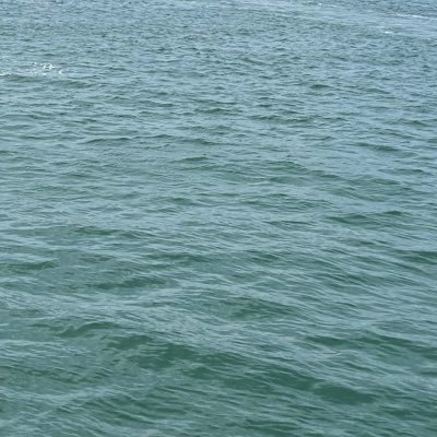 tutututu2020's profile picture. 20↑