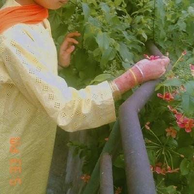 Fakhrishani's profile picture. اللّٰہ حق ہے ❤️