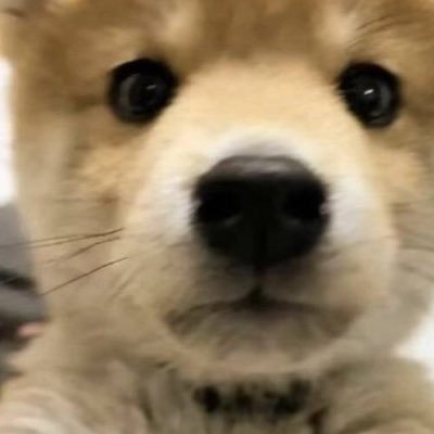 saobiaichijiba's profile picture. 