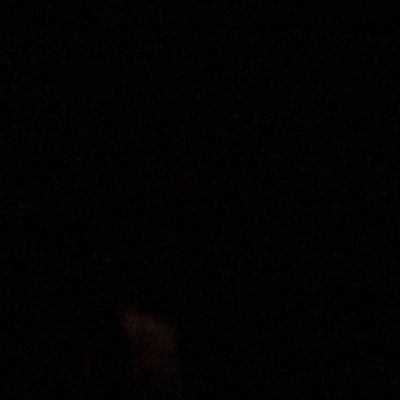 OceanBomb11's profile picture. 