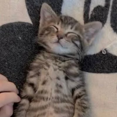 bounc_d's profile picture. 超あたおかです🤭浅ヤンの頃からエガちゃんの大ファン✨人生で挫折を経験しましたがエガちゃんねるに救われた１人です☺️エガちゃんとブリーフ団、あたおかの皆が笑顔で居られますように😆✨✨