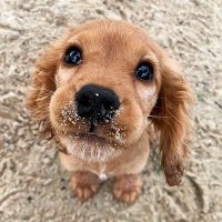 👣 (@awwmelted) 's Twitter Profile Photo 👣 (@awwmelted) 's Twitter Profile Photo