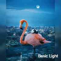 basiclighht's profile picture. 🔍 | sold out multiple projects |📈dm for enquiries •always dyor • nfa •dao •nft •crypto •web3