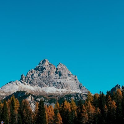 o_0wy6's profile picture. 國際新聞 政府與政治 政治 政治人物 新聞 足球 足球選手 音樂 音樂與娛樂 體育
