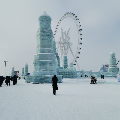 zipengZhang28's profile picture. 