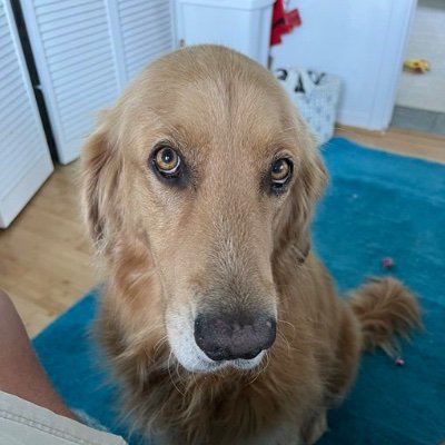 gifs of guacoman (and occasionally the @TheGoldenRatio4 squad)